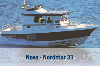 Nordstar 31